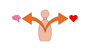 customer toward a decision—but let them feel in control.